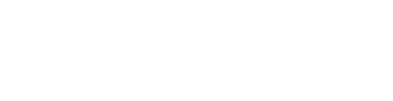 Paws and co Animalogue